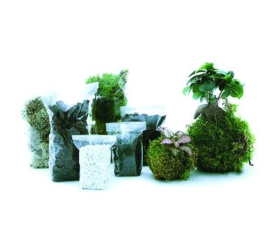 kit terrarium green factory