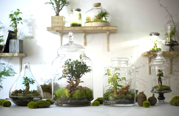 terrariums-green-factory