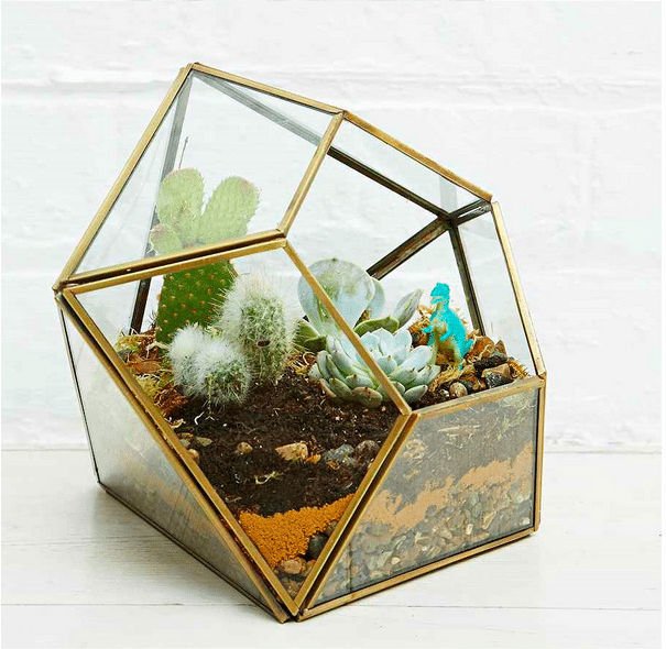 terrrarium urban outfitters.png