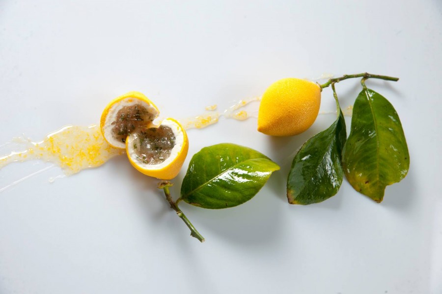 Cédric Grolet citron