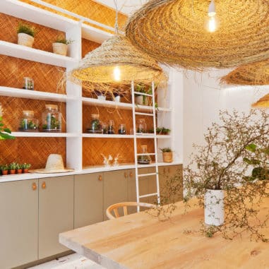 boutique-plantes-Ivy-Paris-Les-Confettis