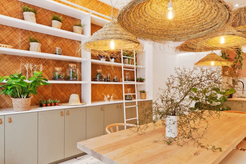 boutique-plantes-Ivy-Paris-Les-Confettis