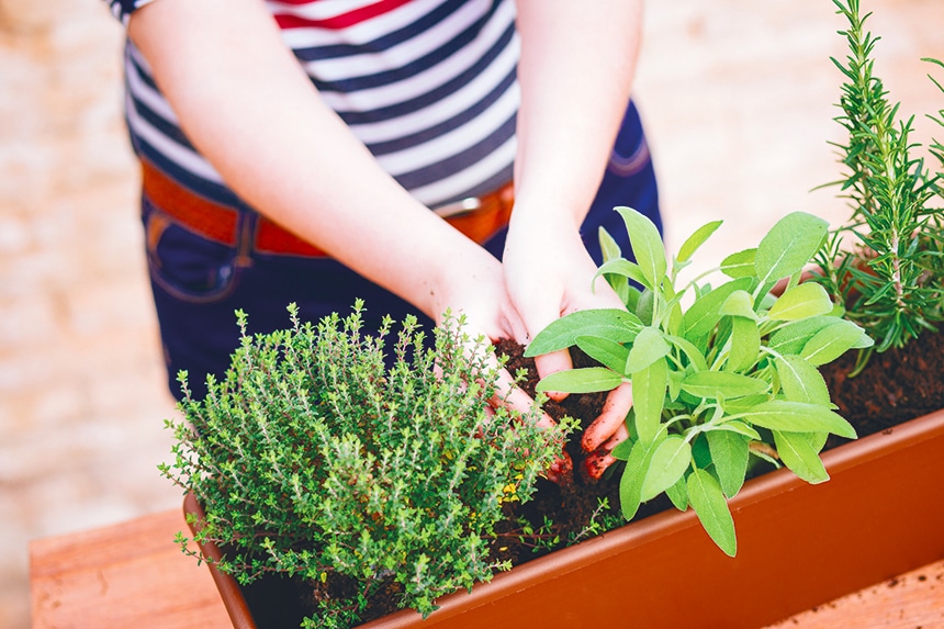 confettis-jardin-planter