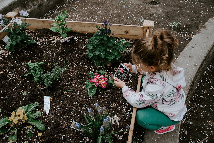 jardin-confettis-activite-famille-enfants