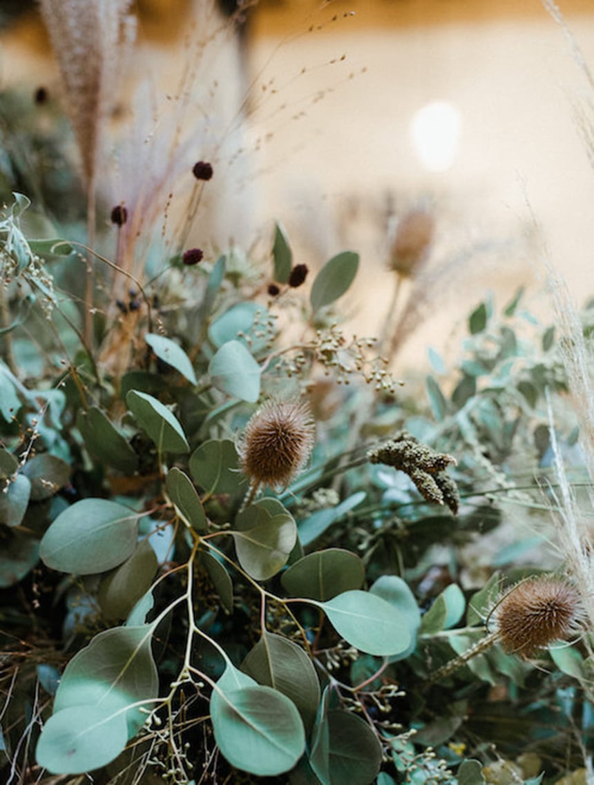 herbes-hautes-paris-les-confettis