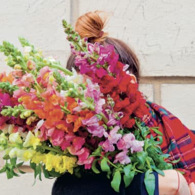 désirée-livre-floriculture-les-confettis