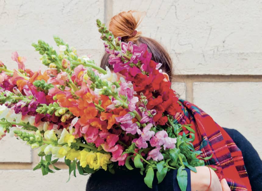 désirée-livre-floriculture-les-confettis