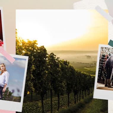 Vigneronnes, ces femmes qui ont rencontré la terre