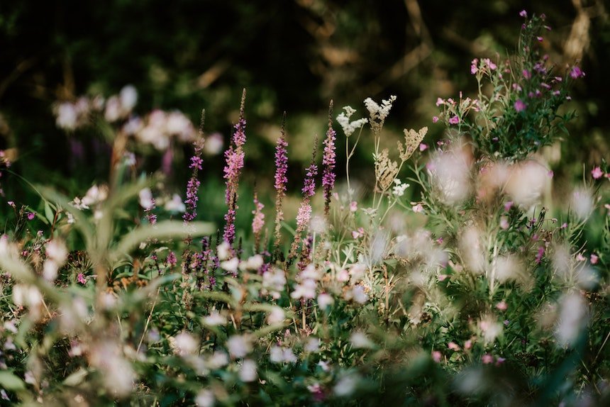 poser-banc-jardin-les-confettis-jardin-deco-printemps