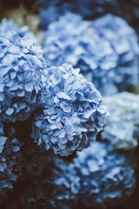 les-confettis-inspiration-shopping-bleu