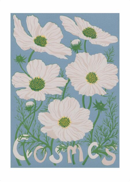 Illustration-Cosmos-Grace-Gallespie-livre-Flowers-Carole-Tolila