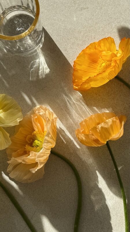 journaling-présence-manifestation-programme-coaching©Louise-Skadhauge