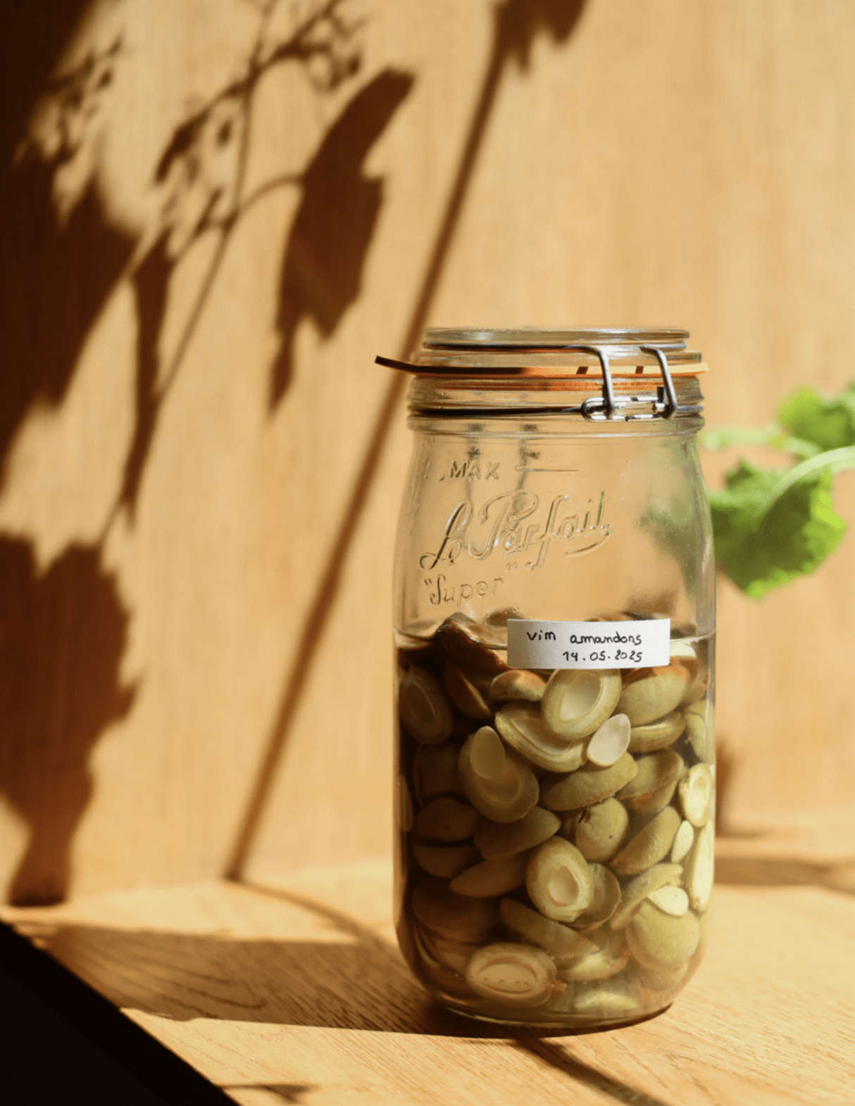 prevelle-restaurant-paris-recettes-les-confettis-journal