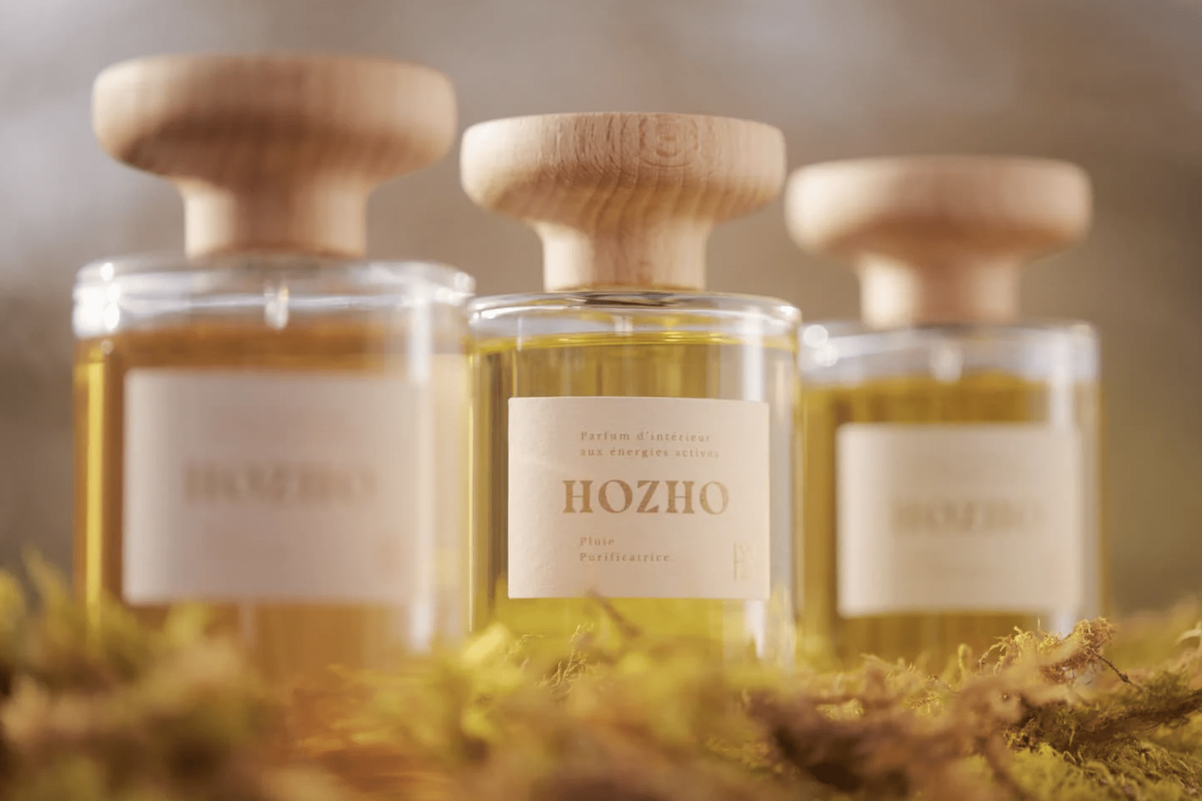 HOZHO : quand les plantes, l'âme et le savoir-faire français se rencontrent